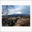 桜のお花見に・・・