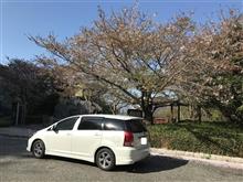 2018 久々の朝ドラ 2018 久々の朝ドラ