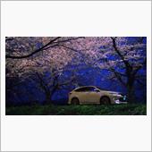 ♯花【夜桜とハリアーと実相寺 ...