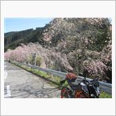 温泉入りに湯西川へ！