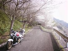 枚散る桜 枚散る桜