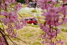 桜が散った?なら、咲いている所へ行けば良い!2018年バージョン。 桜が散った?なら、咲いている所へ行けば良い!2018年バージョン。