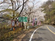 奥琵琶湖パークウェイを行く⑤