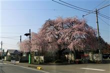 おさんぽ♪♪ 小山市大沼お花見!? & あしあと♪♪ 140 初訪問 うまからタンメン きすけ さん!!!^^v -小山市- おさんぽ♪♪ 小山市大沼お花見!? & あしあと♪♪ 140 初訪問 うまからタンメン きすけ さん!!!^^v -小山市-