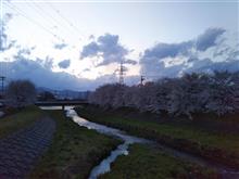 動悸 動悸