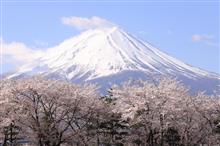 春のやまなし彩り散歩 春のやまなし彩り散歩