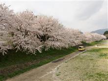 高時川にて