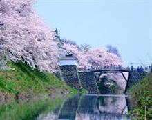 山形市へお花見に~ 山形市へお花見に~