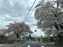 先週は忙しかったww 先週は忙しかったww