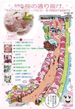 造幣局桜の通りぬけ 造幣局桜の通りぬけ