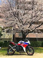 カウル到着までまだ時間掛かるってよ(ㆀ˘・з・˘) カウル到着までまだ時間掛かるってよ(ㆀ˘・з・˘)