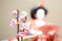日本で光り輝く、中国の文化 「取り入れて発展させるのが、得意な日本人」 日本で光り輝く、中国の文化 「取り入れて発展させるのが、得意な日本人」