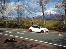 まだまだ・・・桜を求めてお出かけ まだまだ・・・桜を求めてお出かけ