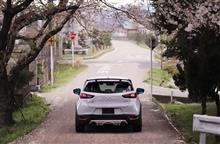 滋賀花見オフ2018 に行ってきた! 滋賀花見オフ2018 に行ってきた!