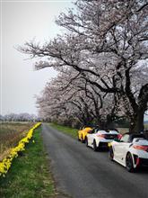 鈴鹿からの帰還! 鈴鹿からの帰還!