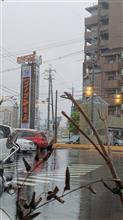 雨の休日 雨の休日