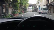 数十分の戯れでしたが・・・ 数十分の戯れでしたが・・・