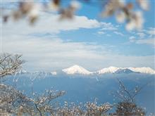桜トレッキング 光城山~長峰山へ 桜トレッキング 光城山~長峰山へ