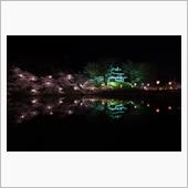 高田公園の桜と・・・
