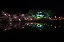 高田公園の桜と・・・