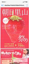 朝日里山いちご祭り 朝日里山いちご祭り