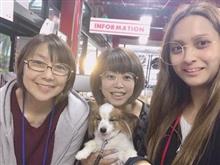 限定2日 RMS 試し座りできます【トライアル発】 限定2日 RMS 試し座りできます【トライアル発】