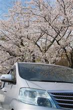 つかの間の晴れ間に弾丸ツアー つかの間の晴れ間に弾丸ツアー