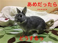 ア〜ここもやっぱりっ♪どしゃぶりさぁ♪ ア〜ここもやっぱりっ♪どしゃぶりさぁ♪