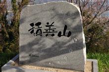 瀬戸内、桜巡り⑪　岩城島・積善山　その1　(2018 .3)