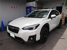 納車! 納車!