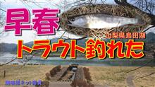 早春のトラウト釣り「オイカワ釣りに行ったらヤマメが釣れた！」健啖隊ネット隊員（y.katsu) 