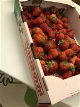 ✨🍓苺祭り🍓✨ ✨🍓苺祭り🍓✨