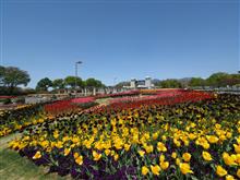 春の花園 春の花園