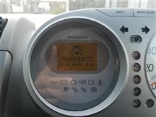 ライフがうちに来てから1年経ちました。