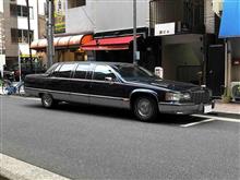 11ヶ月ぶりに見かけたキャデラックのリムジン 11ヶ月ぶりに見かけたキャデラックのリムジン