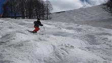 Let's enjoy springmogul slope in TAKASU SNOW PARK Let's enjoy springmogul slope in TAKASU SNOW PARK