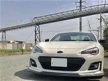 愛車を運転させる派?させない派? 愛車を運転させる派?させない派?