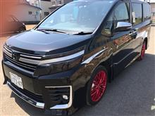 洗車 洗車
