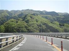 新緑が眩しい(≧∀≦) 新緑が眩しい(≧∀≦)