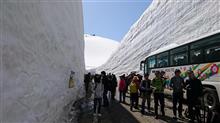 アルペンルート 雪の大谷 アルペンルート 雪の大谷