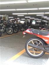 バイクの季節! バイクの季節!