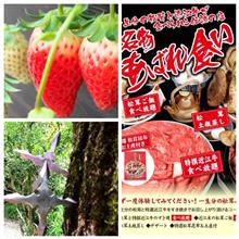 「いちご狩り~食い倒れオフ♪」を 訪問しました。 「いちご狩り~食い倒れオフ♪」を 訪問しました。