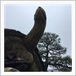 【2日分まとめ】ちょっとそこまで山梨県