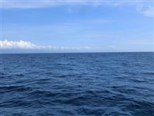 今日の海 今日の海