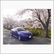 2018　さくらいろ