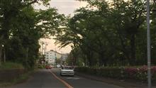天然 天然