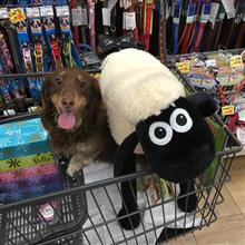 恒例の〜〜旅(仕事) 恒例の〜〜旅(仕事)