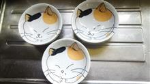 にゃんこのお皿