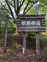 軽いハイキング気分を味わいに(今回もロッソくんの出走は有りませんでした) 軽いハイキング気分を味わいに(今回もロッソくんの出走は有りませんでした)
