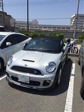 三崎マグロに突撃